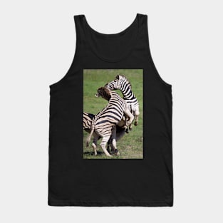 Playing zebras in South Africa Tank Top